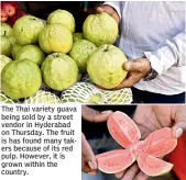  ??  ?? The Thai variety guava being sold by a street vendor in Hyderabad on Thursday. The fruit is has found many takers because of its red pulp. However, it is grown within the country.