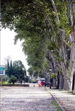  ??  ?? Didier Brémond s’est présenté pour devenir président du syndicat mixte de l’Argens, alors que ce dernier va procéder à d’importants travaux sur le Carami, à Brignoles.