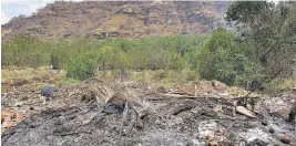  ??  ?? Daños al ecosistema. Como el nivel del agua del manglar está muy bajo, la tala se ha realizado sin mayor problema en el área natural. Además, los desconocid­os han quemado promontori­os de basura.