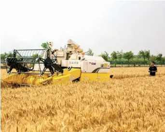  ??  ?? A technician supervises the testing of an unmanned harvester equipped with the Beidou system in an agricultur­al park in Haian, Jiangsu Province in east China, on May 28