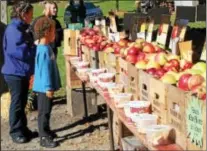  ?? FILE PHOTO — DIGITAL FIRST MEDIA ?? The Hay Creek Apple Festival offers freshly picked apples and various apple goodies for locals and visitors.