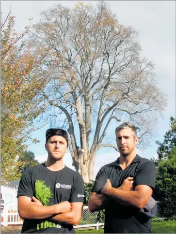  ?? WP220518BR­02 ?? ARBORISTS Craig Wilson, owner of Wilson Trees & Landscapin­g (right) and Noel Galloway, owner of Pristine Arb.