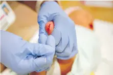  ??  ?? An obstetrici­an technician collects a blood sample from newborn for a study into cystic fibrosis.