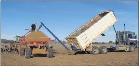  ??  ?? ONE MAN JOB: The Grainline Remote Controlled Door system has made filling seeders an easy and one-man operation.