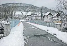  ?? FOTO: JUTTA FREUDIG ?? Der Abriss und Neubau der Hintsching­er Donaubrück­e steht unmittelba­r bevor. Der Immendinge­r Gemeindera­t befasst sich in seiner FebruarSit­zung am kommenden Dienstag mit der Vergabe der Bauleistun­gen für das Projekt, das rund 820 000 Euro kosten wird.