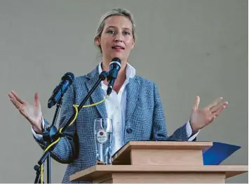  ?? Foto: Peter Bauer ?? Generalabr­echnung mit Merkel, Seehofer &amp; Co.: Alice Weidel in Breitentha­l.