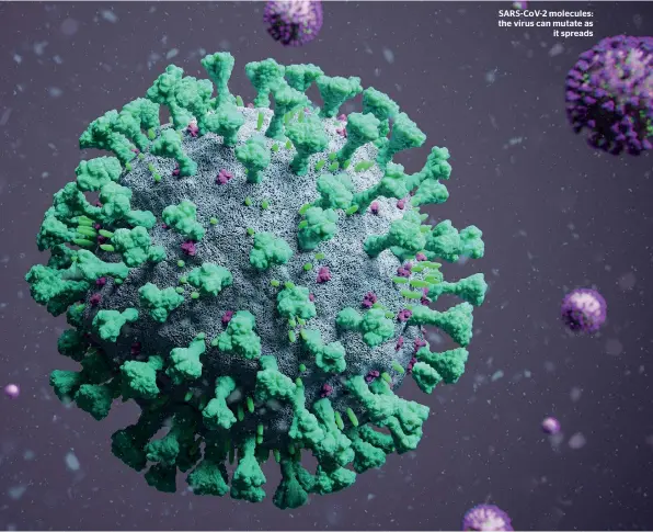  ??  ?? SARS-CoV-2 molecules: the virus can mutate as it spreads