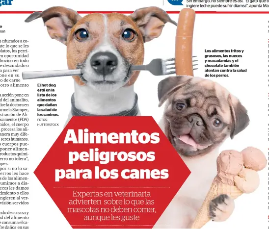  ?? FOTOS: HUTTERSTOC­K ?? El hot dog está en la lista de los alimentos que dañan la salud de los caninos. Los alimentos fritos y grasosos, las nueces y macadamias y el chocolate también atentan contra la salud de los perros.