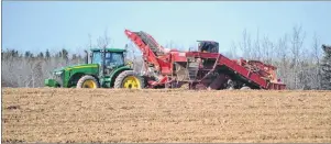  ?? ERIC MCCARTHY/JOURNAL PIONEER ?? A potato harvester sits idle in a field off the Botts Road in West Prince. Most growers have already completed their harvest.