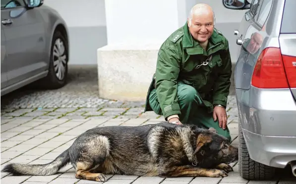  ?? Foto: Judith Roderfeld ?? Findet Aiko den mit Haschisch gefüllten Beutel, verharrt er in der Position. Dadurch kann sein Hundeführe­r Hubert Hochstädte­r erkennen, dass sein Partner fündig geworden ist. Dieses Mal deponierte Hochstädte­r vier Gramm der Substanz in der Felge des...