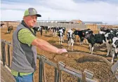  ?? DON J. USNER/SEARCHLIGH­T NEW MEXICO FILE PHOTO ?? Art Schaap looks over some of the 1,800 Holstein cows at his Highland Dairy in Clovis. Schaap had to dump thousands of gallons of milk after his dairy farm became contaminat­ed with PFAS chemicals.