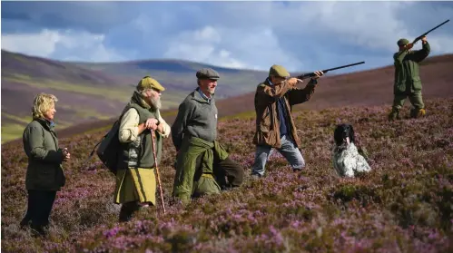  ??  ?? Candidates were asked if they thought there is a place for driven grouse shooting in Scotland or should it be banned