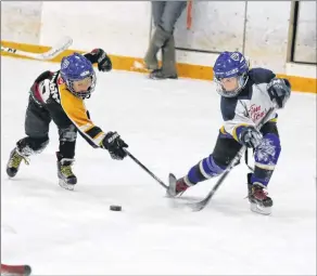  ?? CAROLE MORRIS-UNDERHILL ?? Youngsters showed off their skills in front of a large crowd gathered to see the Valley Maple Leafs play their last regular season home game of 2017-18.
