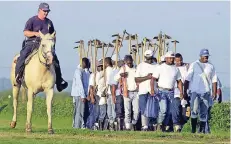  ??  ?? Häftlinge des Angola-Gefängniss­es rücken zur Feldarbeit aus. Die Haftanstal­t befindet sich auf einer ehemaligen Plantage und wird auch „The Farm“genannt.