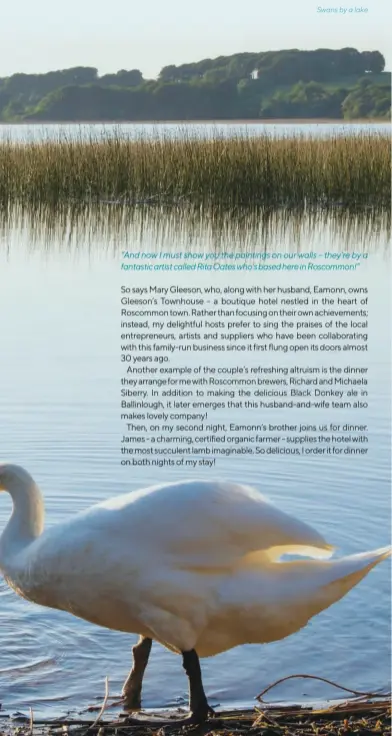  ??  ?? “And now I must show you the paintings on our walls – they’re by a fantastic artist called Rita Oates who’s based here in Roscommon!”