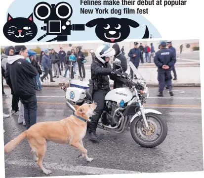  ?? ASSOCIATED PRESS ?? Loukanikos, the star of “Dogs of Democracy,” is shown in 2012 taking part in an anti-austerity protest in Athens. The NY Dog Film Festival screened “Dogs of Democracy” on Sunday. Organizers also showed a medley of shorts about cats this year.