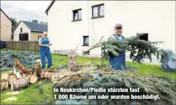  ??  ?? In Neukirchen/Pleiße stürzten fast 1 000 Bäume um oder wurden beschädigt.