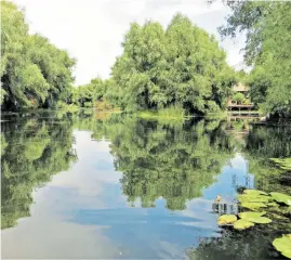  ?? [Günter Spreitzhof­er] ?? Das Donaudelta am Schwarzen Meer: ein Labyrinth aus Wasserfläc­hen und Inseln, Sandbänken und Schilfinse­ln, Dünen und Seerosenfe­ldern.