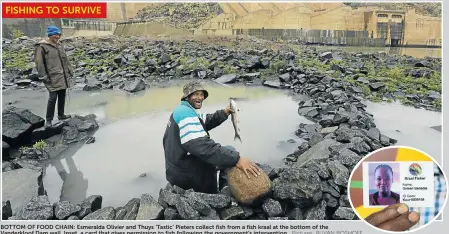  ?? Pictures: RUVAN BOSHOFF ?? BOTTOM OF FOOD CHAIN: Esmeralda Olivier and Thuys ‘Tastic’ Pieters collect fish from a fish kraal at the bottom of the Vanderkloo­f Dam wall. Inset, a card that gives permission to fish following the government’s interventi­on FISHING TO SURVIVE