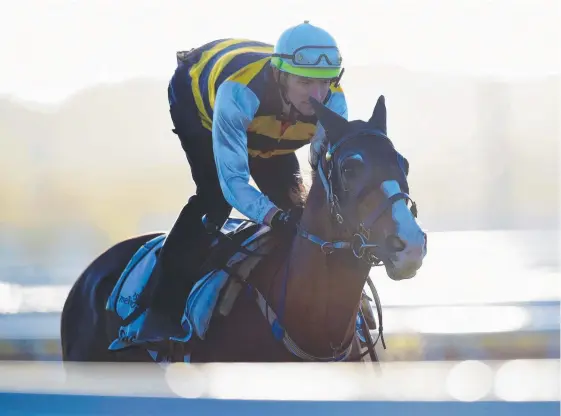  ?? Picture: AAP IMAGE/JULIAN SMITH ?? Tom Melbourne gallops at Flemington in Melbourne. The perennial placegette­r is aiming to finally win a Group 1 at Ascot.