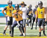  ?? Carlos Avila Gonzalez / The Chronicle ?? Cal’s Ross Bowers takes a snap. Chase Garbers (7) and Chase Forrest (14) also are competing for the starting QB job.