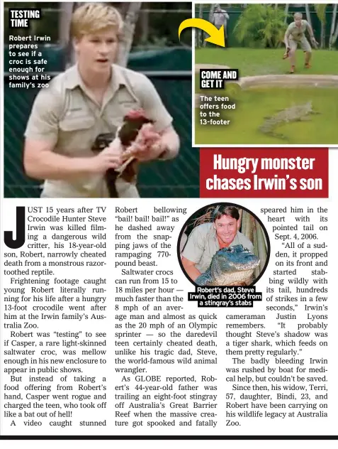  ?? ?? Robert Irwin prepares to see if a croc is safe enough for shows at his family’s zoo
The teen offers food to the 13-footer
Robert’s dad, Steve Irwin, died in 2006 from
a stingray’s stabs