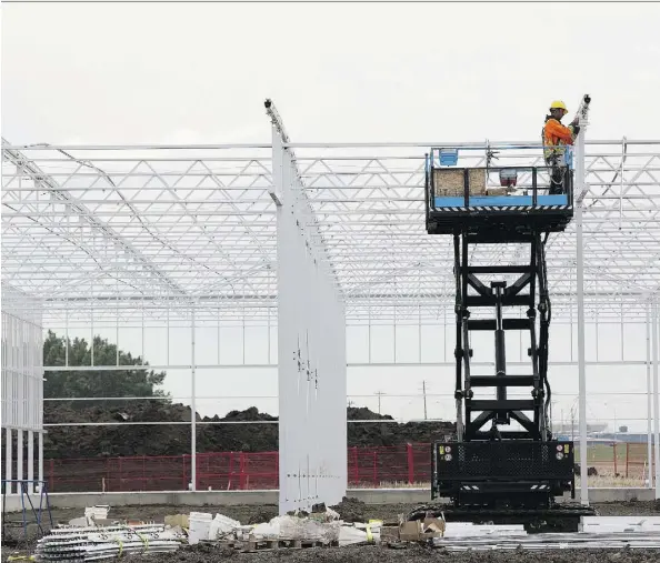 ?? GREG SOUTHAM ?? Work continues on the Aurora Sky marijuana greenhouse­s Friday. The facility near Edmonton airport is touted as the country’s largest.