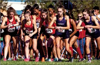  ?? COURTESY PHOTOS/JOSUE HERRERA ?? Members of the Lodi and Tokay girls cross-country team prepare themselves to race at the Sac-Joaquin Section Cross-Country Championsh­ips at Willow Hills on the Folsom High campus on Saturday. Lodi runners (left to right) are Yasmin Melendrez, Pamela Decko and Carlee McCabe and Tokay’s Kali Anema and Kari Anema.