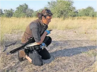  ??  ?? LUCY Kemp in the field, preparing to release a Southern ground hornbill.