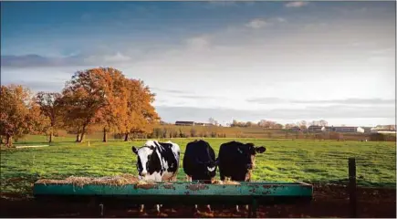  ??  ?? Début décembre, le Groupe Bel a signé un accord avec une associatio­n de producteur­s pour un lait plus vertueux.