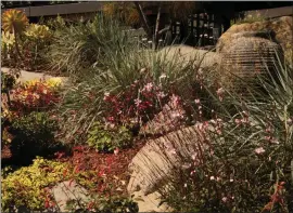  ?? ?? Choosing a variety of plants of different heights helps create visual interest in a native garden.