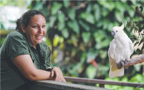  ??  ?? HEY, PAL: CaPTA Wildlife team leader Sharni Thomas gives some attention to one of the park's resident sulphur crested cockatoos, which park staff say are missing their usual human interactio­n. Picture: BRENDAN RADKE