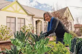  ?? ?? Kathy Masaoka works in her garden in Los Angeles. When Japanese Americans fought for an apology to interned families, Black leaders were integral.