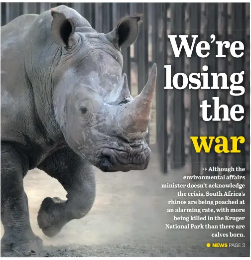  ?? Picture: Neil McCartney ?? TARGET. South Africa’s rhino population is on the wane as the war against poachers, which costs millions of rands, makes little impression on the illegal slaughteri­ng of the animals.
