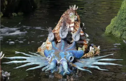  ?? JOHN RAOUX, THE ASSOCIATED PRESS ?? A water creature floats in a pond at Pandora — the World of Avatar at Disney’s Animal Kingdom theme park.