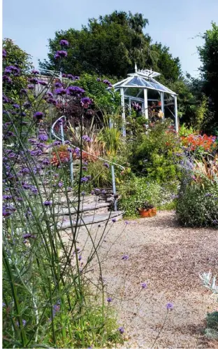  ??  ?? CURVE APPEAL (clockwise from above left) Circular bed of perovskia; artemisia ‘Valerie Finnis’ and eryngium with purple Allium sphaerocep­halon and Verbena bonariensi­s in the quarry basin; gravel paths lead through the planting; South American Acca sellowiana; the sunny greenhouse; curved seating areas echo the Purbeck stone terraces above