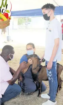  ?? NATHANIEL STEWART PHOTOS ?? Vaughan with his mother Dr Gabrielle Young, livestock support manager at Nutramix and a farmer compare notes during the GOAT Seminar, put on by Nutramix at the Denbigh Agricultur­al Showground in May Pen, Clarendon on Wednesday.