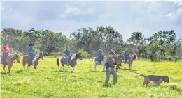  ?? BROWARD SHERIFF'S OFFICE/COURTESY ?? Mounted Posse members and Sheriff ’s Office personnel train at Robbins Lodge and Open Space Preserve in Davie earlier this month.