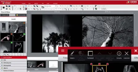  ??  ?? Vielseitig Die Gestaltung­ssoftware von Cewe bietet viele Optionen – unter anderem ein LayoutRast­er. Zudem ist sie nicht nur für Windows und Mac, sondern auch für Linux erhältlich.