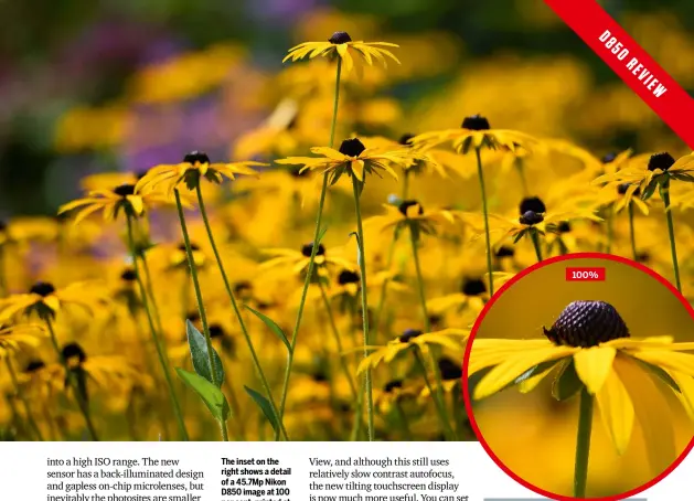  ??  ?? The inset on the right shows a detail of a 45.7Mp Nikon D850 image at 100 per cent, printed at 300dpi (the resolution of our magazine). These images are huge 100%