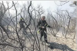  ?? (Photo Laurent Martinat) ?? Le Var a été la proie d’importants incendies l’été dernier comme ici à Bormes.