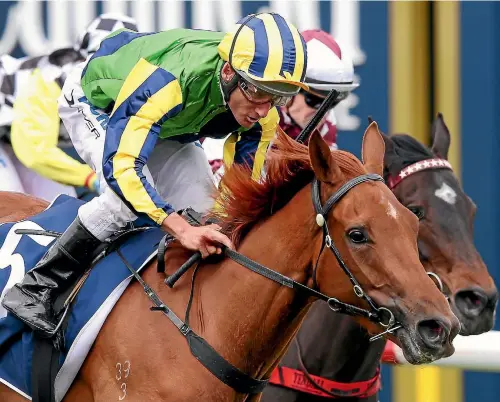  ?? GETTY IMAGES ?? Eleonora and Damien Oliver lead the field home in the Group III Ethereal Stakes.