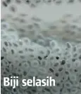  ??  ?? Ramai sukar bezakan biji chia dan selasih.