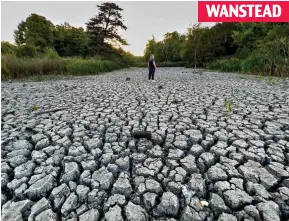  ?? ?? WANSTEAD
Parched: A woman walks on a dried-out pond in east London