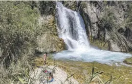  ?? Photo: David Revenga ?? A bather at the Bolulla river this week