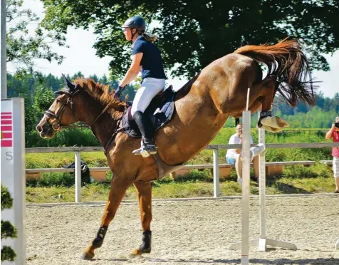  ?? Fotos: Anna Schmid ?? Es reicht für den dritten Platz: Alisa Kohler und Gina 1724 waren bei den Kühbacher Turniertag­en auf Gut Sedlhof erfolgreic­h.