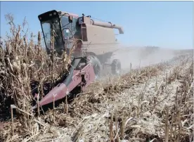  ?? PHOTO: BLOOMBERG ?? A motorised harvester collects maize at a farm near Bronkhorst­spruit, Gauteng. Maize crops are expected to benefit from La Niña in the next season.