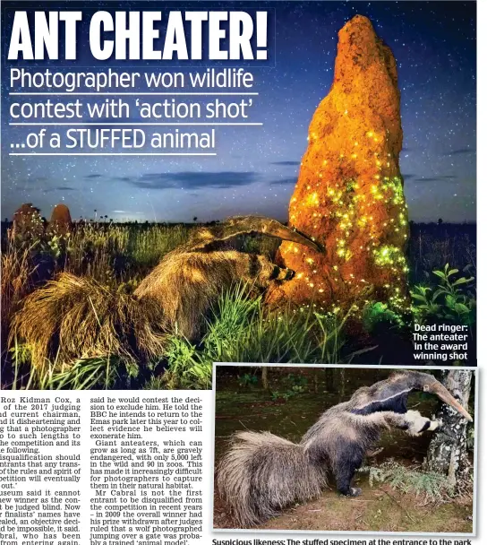 ANT CHEATER! - PressReader