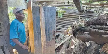  ??  ?? La fuerza de la tormenta también derribó árboles en la zona.