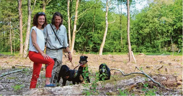  ?? Fotos: Philipp Schröders ?? Auf einem Waldstück beim Kissinger Weitmannse­e sind zahlreiche Bäume gefällt worden. Eingriffe wie diese sind immer wieder nötig, erklären Elisabeth Burkhard und Rudolf Brandl.